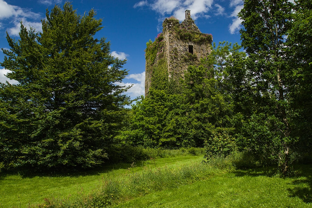Dripsey Castle